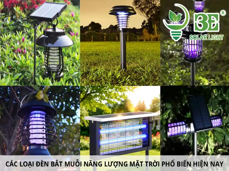 Các loại đèn bắt muỗi năng lượng mặt trời phổ biến hiện nay