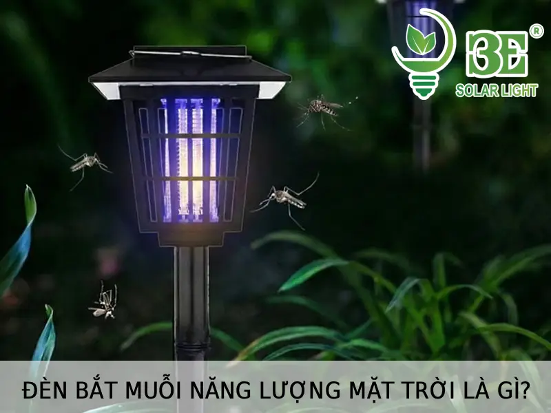 Đèn bắt muỗi năng lượng mặt trời là gì tại 3E SOLAR