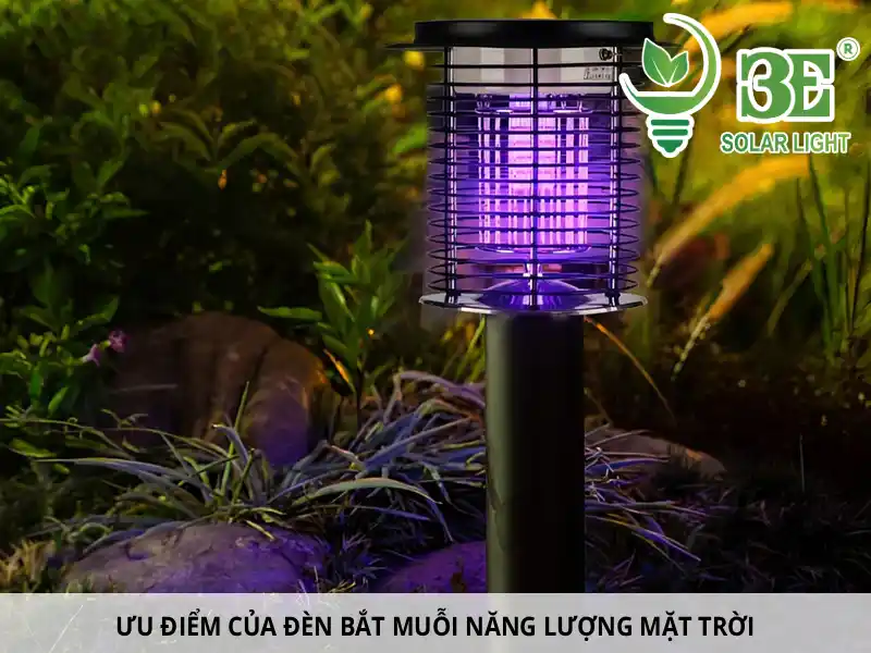 Ưu đIểm đèn bắt muỗI năng lượng mặt trờI
