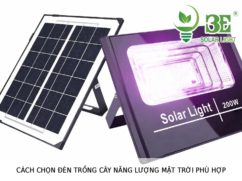 Cách chọn đèn trồng cây năng lượng mặt trời phù hợp tại 3E Solar