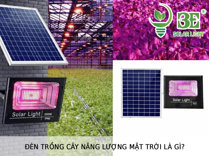 Đèn trồng cây năng lượng mặt trời là gì tại 3E SOLAR