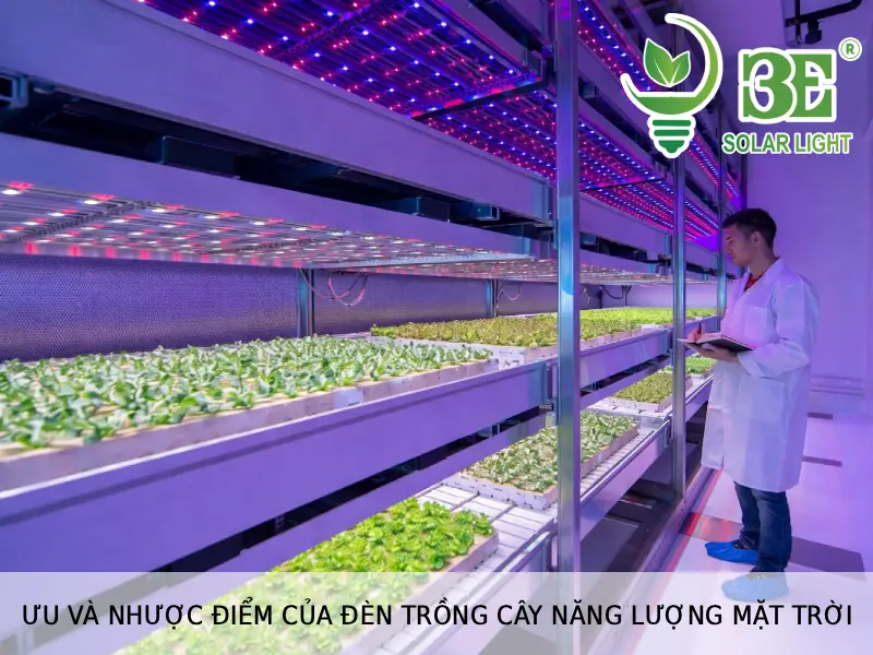 Ưu và nhược điểm của đèn trồng cây năng lượng mặt trời tại 3E SOLAR