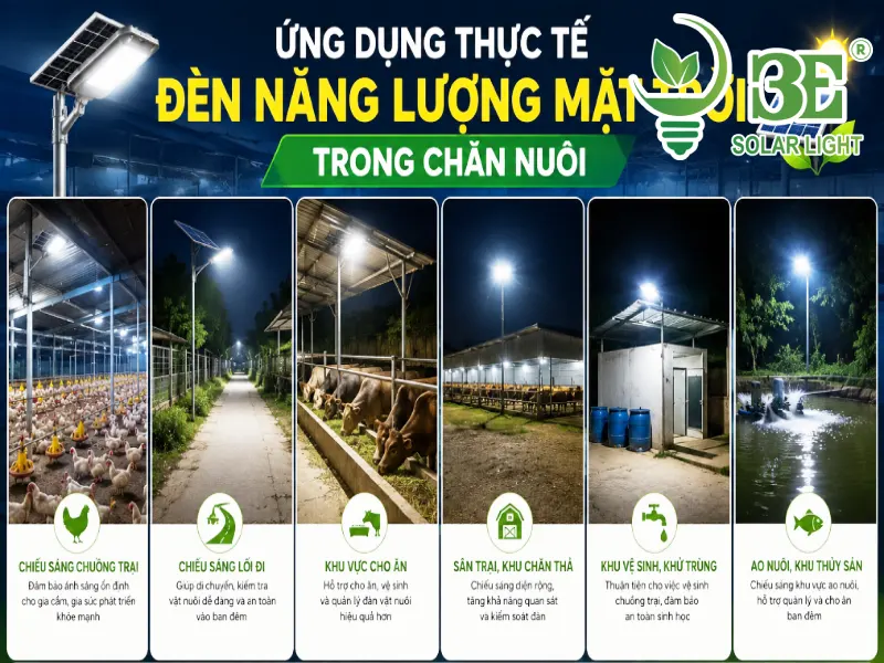 Ứng dụng thực tế đèn năng lượng mặt trời trong chăn nuôi