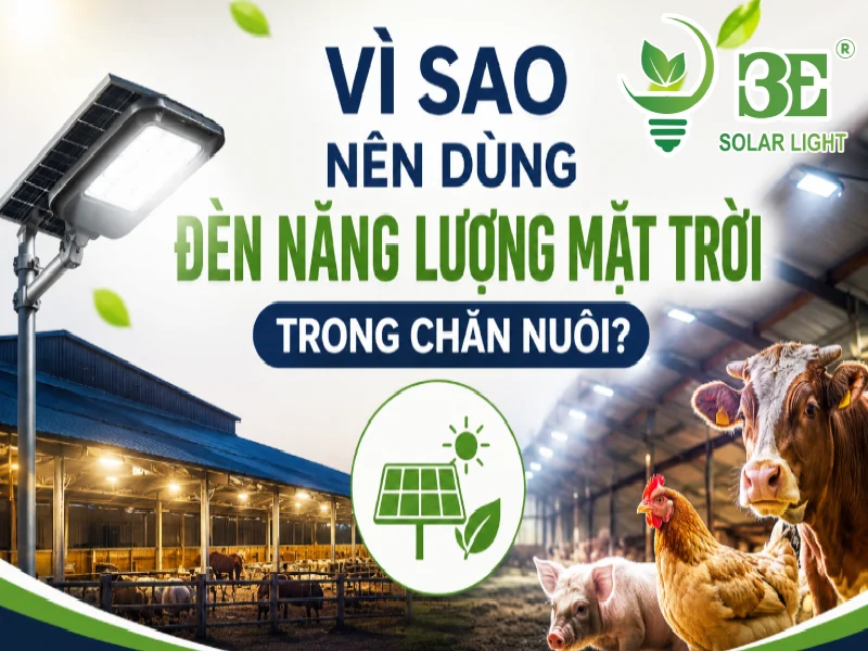 Vì sao nên dùng đèn năng lượng mặt trời trong chăn nuôi - 3E Solar
